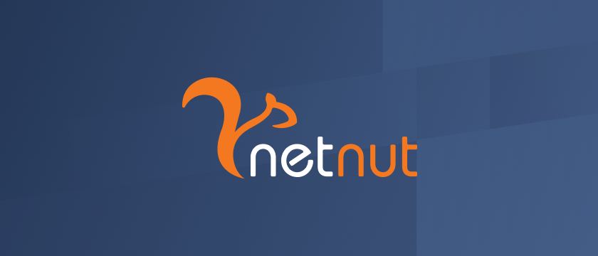 Top NetNut Alternatives